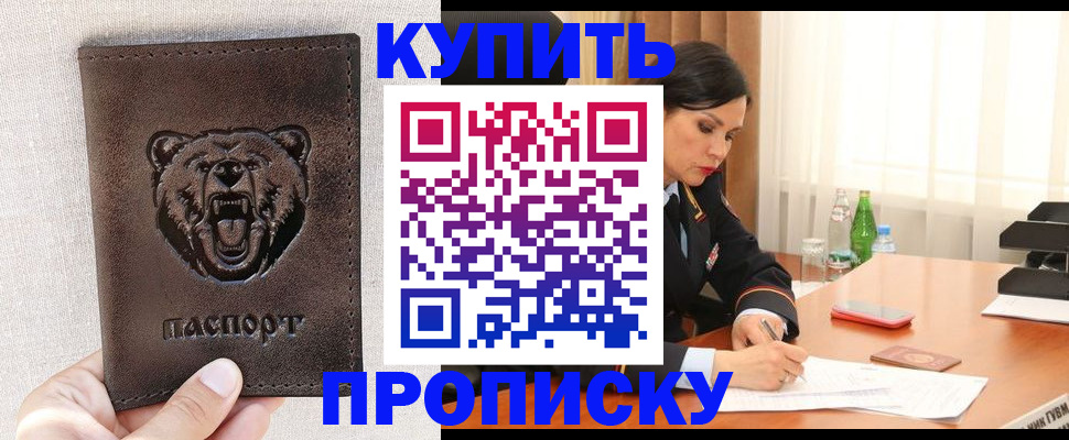 где прописаться в Коле